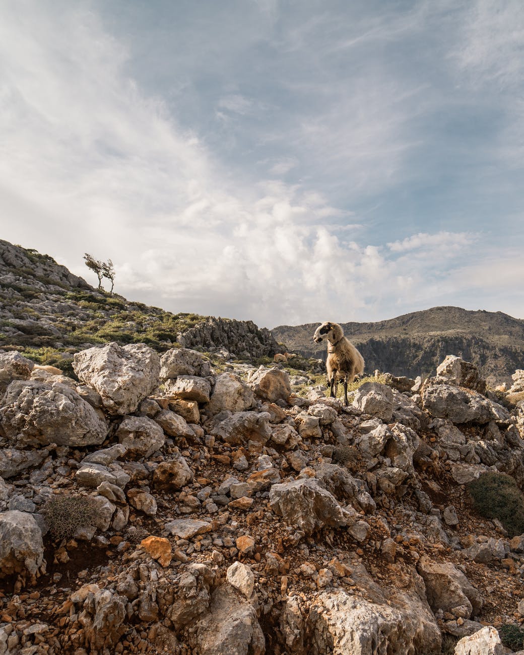 Getter i centrala Kreta - 10 bästa grekiska öar